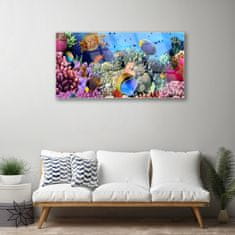 tulup.si Slika na akrilnem steklu Barrier reef narava 120x60 cm 2 obešalnika