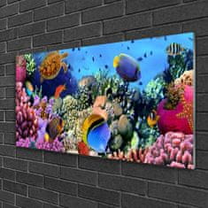 tulup.si Slika na akrilnem steklu Barrier reef narava 120x60 cm 2 obešalnika