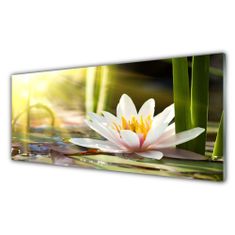 tulup.si Slika na akrilnem steklu Flower water lily 125x50 cm 4 obešalnika