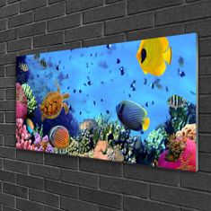 tulup.si Slika na akrilnem steklu Barrier reef narava 100x50 cm 2 obešalnika