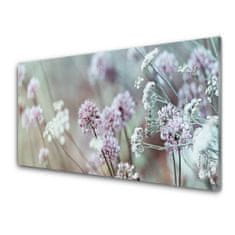 tulup.si Slika na akrilnem steklu Cvetje wildflowers travnik narava 120x60 cm 2 obešalnika