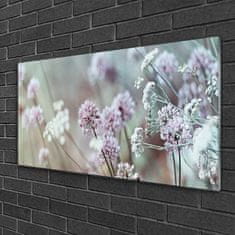 tulup.si Slika na akrilnem steklu Cvetje wildflowers travnik narava 120x60 cm 2 obešalnika