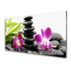 tulup.si Slika na akrilnem steklu Orchid zen spa stones 120x60 cm 2 obešalnika