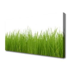 tulup.si Slika na platnu Grass nature rastlin 100x50 cm