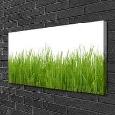 tulup.si Slika na platnu Grass nature rastlin 100x50 cm