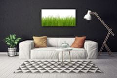 tulup.si Slika na platnu Grass nature rastlin 100x50 cm