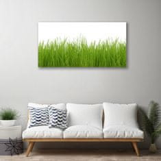 tulup.si Slika na platnu Grass nature rastlin 100x50 cm