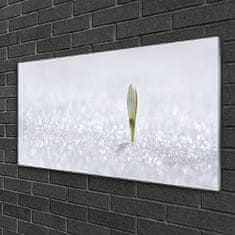 tulup.si Slika na akrilnem steklu Snowdrop sneg winter 100x50 cm 4 obešalnika