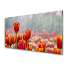 tulup.si Slika na akrilnem steklu Tulipani cvetovi rastlin 120x60 cm 4 obešalnika