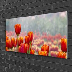 tulup.si Slika na akrilnem steklu Tulipani cvetovi rastlin 120x60 cm 4 obešalnika