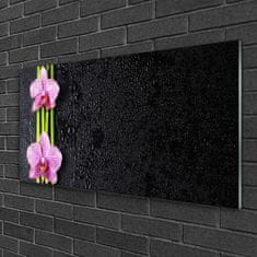 tulup.si Slika na akrilnem steklu Bambus flower rastlin narava 100x50 cm 4 obešalnika