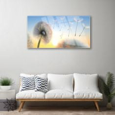 tulup.si Slika na akrilnem steklu Dandelion flower rastlin 100x50 cm 2 obešalnika