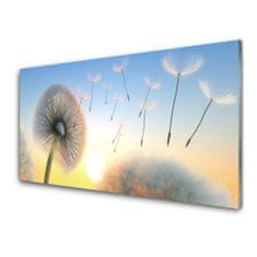 tulup.si Slika na akrilnem steklu Dandelion flower rastlin 100x50 cm 2 obešalnika