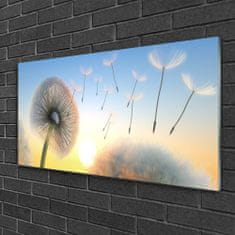 tulup.si Slika na akrilnem steklu Dandelion flower rastlin 100x50 cm 2 obešalnika