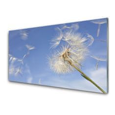 tulup.si Slika na akrilnem steklu Dandelion rastlin 100x50 cm 4 obešalnika