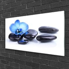 tulup.si Slika na akrilnem steklu Flower stones art 100x50 cm 4 obešalnika