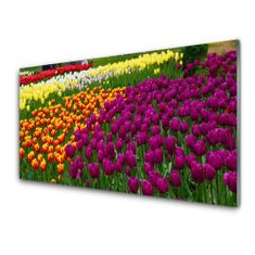 tulup.si Slika na akrilnem steklu Tulipani cvetje 120x60 cm 4 obešalnika