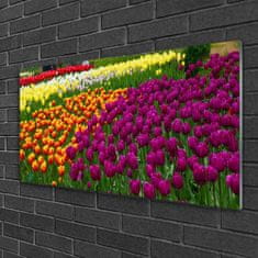 tulup.si Slika na akrilnem steklu Tulipani cvetje 120x60 cm 4 obešalnika