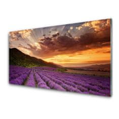 tulup.si Zidna obloga za kuhinju Področje lavender sunset 140x70 cm