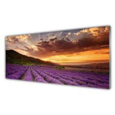 tulup.si Slika na akrilnem steklu Področje lavender sunset 125x50 cm 4 obešalnika