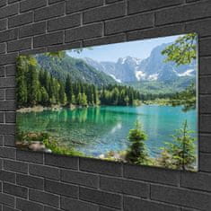 tulup.si Slika na akrilnem steklu Narava mountains lake forest 100x50 cm 4 obešalnika