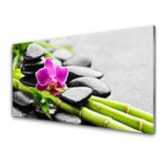 tulup.si Slika na akrilnem steklu Flower bamboo stones art 120x60 cm 2 obešalnika