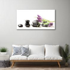 tulup.si Slika na akrilnem steklu Crocus flower art 100x50 cm 4 obešalnika