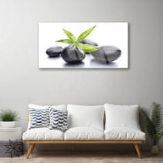 tulup.si Slika na akrilnem steklu Stones art listi 120x60 cm 4 obešalnika