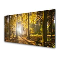 tulup.si Slika na akrilnem steklu Forest listi narava rastlin 100x50 cm 2 obešalnika