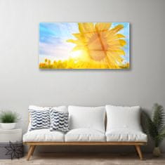 tulup.si Slika na akrilnem steklu Sončnica sun flower 100x50 cm 4 obešalnika