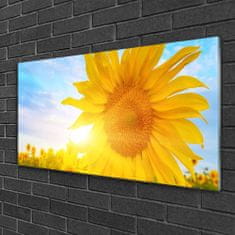 tulup.si Slika na akrilnem steklu Sončnica sun flower 100x50 cm 4 obešalnika