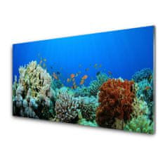 tulup.si Slika na akrilnem steklu Barrier reef narava 100x50 cm 4 obešalnika