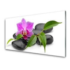 tulup.si Slika na steklu Orchid flower art 100x50 cm 4 obešalnika