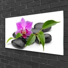 tulup.si Slika na steklu Orchid flower art 100x50 cm 4 obešalnika