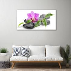 tulup.si Slika na akrilnem steklu Orchid flower art 100x50 cm 4 obešalnika