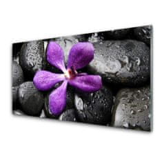 tulup.si Slika na akrilnem steklu Flower stones art 100x50 cm 4 obešalnika