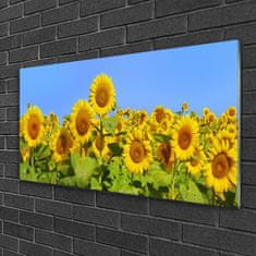 tulup.si Slika na akrilnem steklu Sončnica flower rastlin 120x60 cm 2 obešalnika