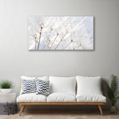 tulup.si Slika na akrilnem steklu Dandelion rastlin 100x50 cm 4 obešalnika