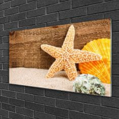 tulup.si Slika na akrilnem steklu Starfish sand art 100x50 cm 4 obešalnika