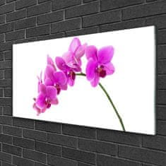 tulup.si Slika na akrilnem steklu Orchid cvet orhideje 100x50 cm 4 obešalnika