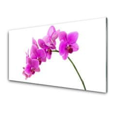 tulup.si Slika na akrilnem steklu Orchid cvet orhideje 100x50 cm 4 obešalnika