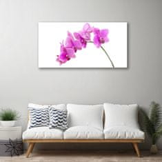 tulup.si Slika na akrilnem steklu Orchid cvet orhideje 100x50 cm 4 obešalnika