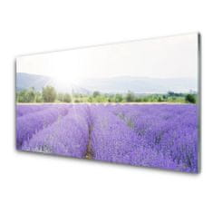 tulup.si Slika na akrilnem steklu Lavender polje travnik narava 100x50 cm 4 obešalnika