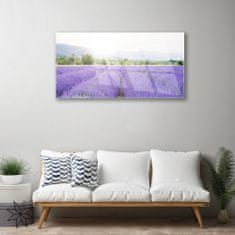 tulup.si Slika na akrilnem steklu Lavender polje travnik narava 100x50 cm 4 obešalnika