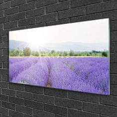 tulup.si Slika na akrilnem steklu Lavender polje travnik narava 100x50 cm 4 obešalnika