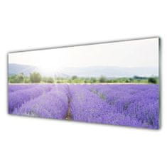 tulup.si Slika na akrilnem steklu Lavender polje travnik narava 125x50 cm 2 obešalnika