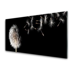 tulup.si Zidna obloga za kuhinju Dandelion flower drops 120x60 cm