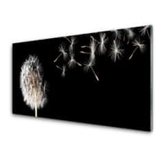 tulup.si Slika na akrilnem steklu Dandelion flower drops 120x60 cm 2 obešalnika