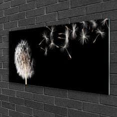 tulup.si Slika na akrilnem steklu Dandelion flower drops 120x60 cm 2 obešalnika