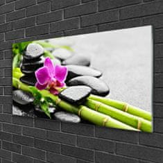 tulup.si Slika na akrilnem steklu Flower bamboo stones art 120x60 cm 2 obešalnika